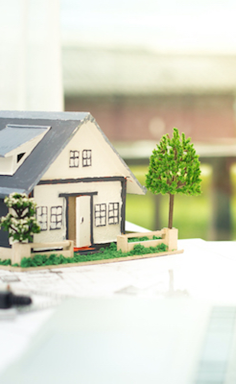 Maison verte en construction, patrimoine qui grandit